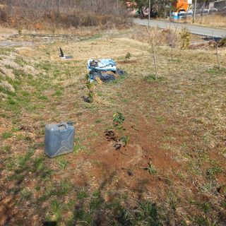 김건우님의 기타작물 · 영농일지 작성글 사진