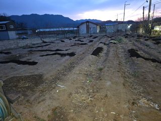 김월량님의 감자 · 영농일지 작성글 사진