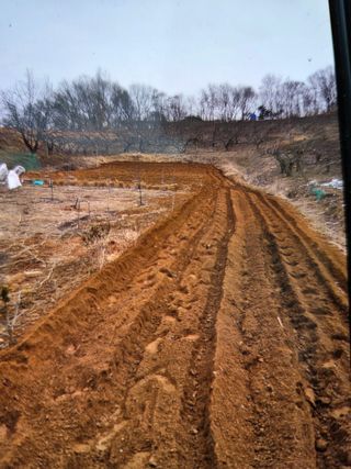 김연숙님의 기타작물 · 영농일지 작성글 사진