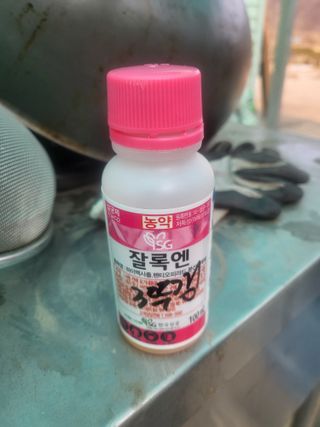 이상욱님의 고추 · 영농일지 작성글 사진