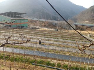 보공(김대호)님의 기타작물 · 영농일지 작성글 사진