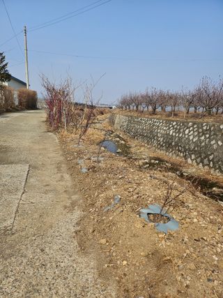 신득경님의 기타작물 · 영농일지 작성글 사진