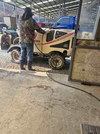 백운농원 님의 복숭아 · 영농일지 작성글 사진