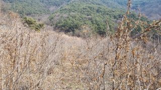 김동명님의 작성글 사진