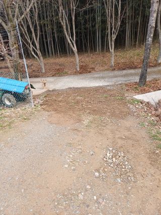 보공(김대호)님의 기타작물 · 영농일지 작성글 사진