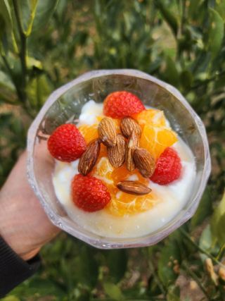 산방자연농원님의 귤 · 영농일지 작성글 사진