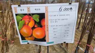 전진원님의 포도 · 영농일지 작성글 사진