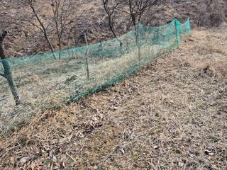 엉뚱님의 기타작물 · 영농일지 작성글 사진