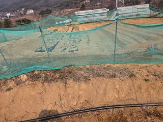 콩7431(팔공산)님의 복숭아 · 영농일지 작성글 사진