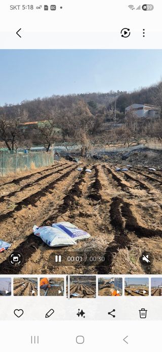 원증연님의 기타작물 · 영농일지 작성글 사진