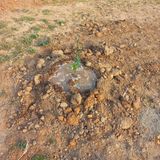 팜모닝 기타작물·영농일지 게시글 이미지