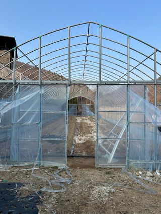 이익수님의 옥수수 · 영농일지 작성글 사진