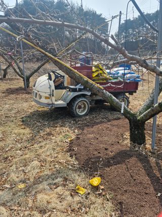 백운농원 님의 복숭아 · 영농일지 작성글 사진