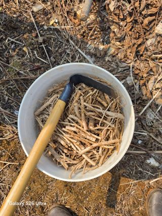 김종협님의 기타작물 · 영농일지 작성글 사진