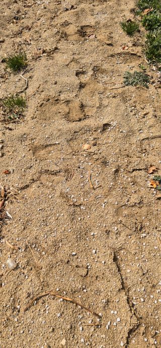 이상윤님의 복숭아 · 영농일지 작성글 사진