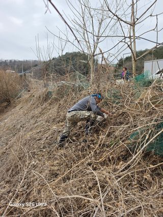김종협님의 기타작물 · 영농일지 작성글 사진