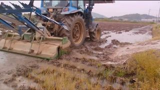 젠틀맨님의 벼 · 영농일지 작성글 사진