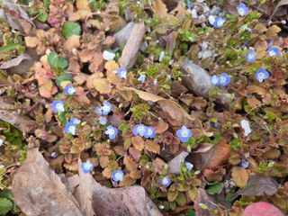 박영애님의 기타작물 · 영농일지 작성글 사진