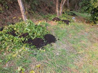 고흥백향과농장님의 기타작물 · 영농일지 작성글 사진