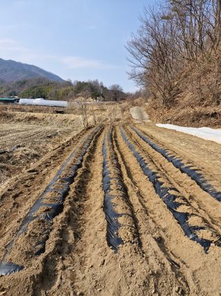 성은모님의 기타작물 · 영농일지 작성글 사진