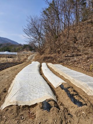 성은모님의 기타작물 · 영농일지 작성글 사진