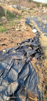 팜모닝 기타작물·영농일지 게시글 이미지