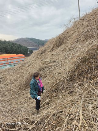 김종협님의 기타작물 · 영농일지 작성글 사진