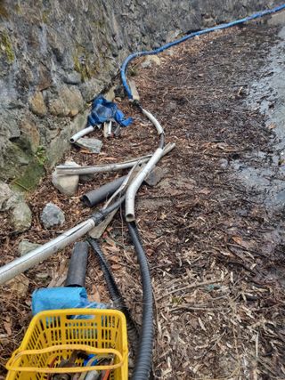 김용대님의 기타작물 · 영농일지 작성글 사진