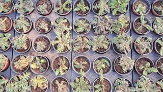 이정운님의 기타작물 · 영농일지 작성글 사진