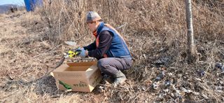 정연섭님의 기타작물 · 영농일지 작성글 사진