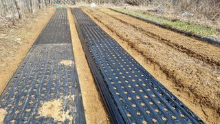 김지철님의 기타작물 · 영농일지 작성글 사진