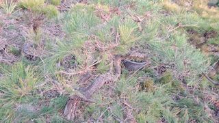 이정운님의 기타작물 · 영농일지 작성글 사진