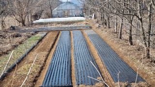 김지철님의 기타작물 · 영농일지 작성글 사진