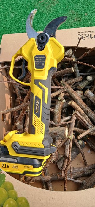 정연섭님의 기타작물 · 영농일지 작성글 사진