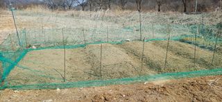 남궁봉님의 기타작물 · 영농일지 작성글 사진