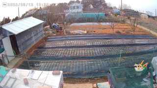 벙개도리님의 감자 · 영농일지 작성글 사진