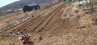 김성필님의 감자 · 영농일지 작성글 사진