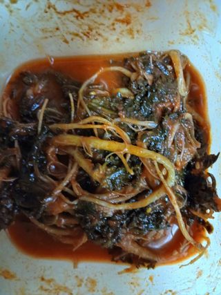 강지현님의 기타작물 · 영농일지 작성글 사진