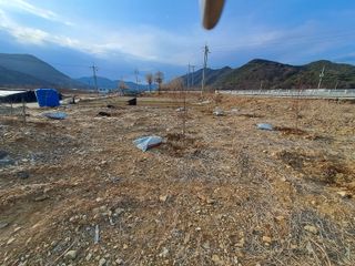 손정식님의 복숭아 · 영농일지 작성글 사진