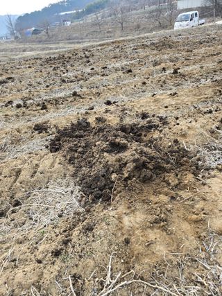 최철규님의 콩 · 영농일지 작성글 사진