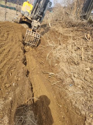 최기동님의 기타작물 · 영농일지 작성글 사진