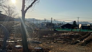 강원도김지원님의 기타작물 · 영농일지 작성글 사진