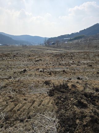 최철규님의 콩 · 영농일지 작성글 사진