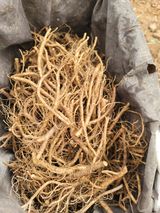 서성환님의 작성글 사진