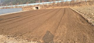 감자님의 감자 · 영농일지 작성글 사진