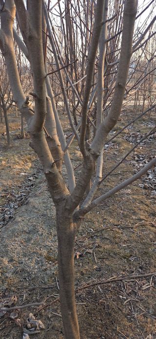 이해창님의 기타작물 · 영농일지 작성글 사진