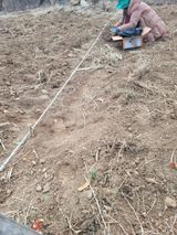 서성환님의 작성글 사진