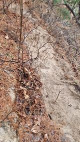 권혁렬님의 작성글 사진