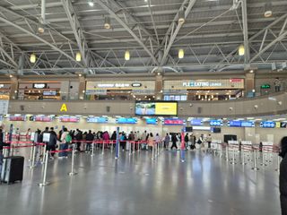 늘햇살팜 님의 기타작물 · 영농일지 작성글 사진