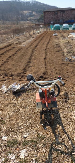 김성필님의 감자 · 영농일지 작성글 사진